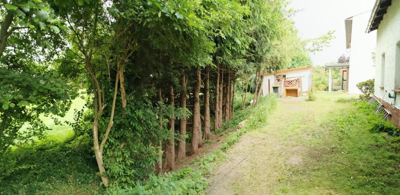 Gemuetliches Ferienhaus "An Der Schilde" In Renzow 외부 사진